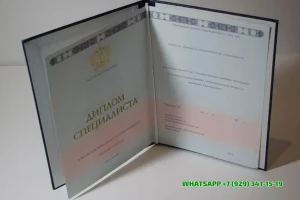 Купить диплом СПбУУиЭ в Химках — Санкт-Петербургского Университета Управления и Экономики